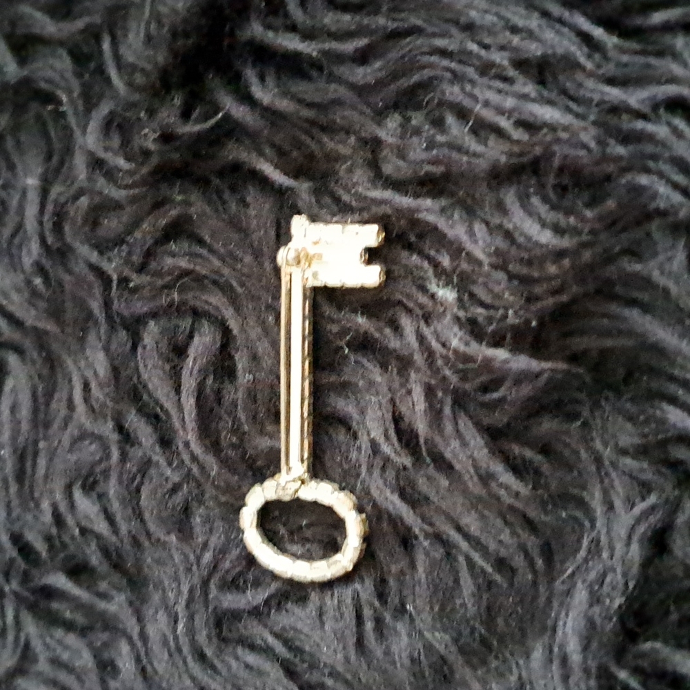 Vintage key pin - Picture 2 of 2